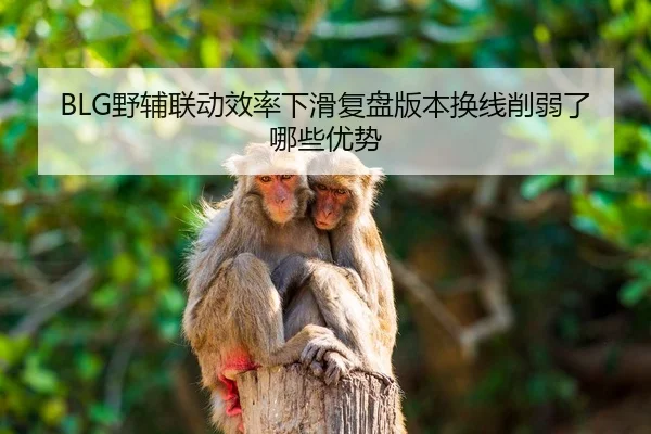 ye-fu-lian-dong-xiao-lv-xia-hua-fu-pan-ban-ben-huan-xian-xue-ruo-le-na-xie-you-shi-2-405.jpg