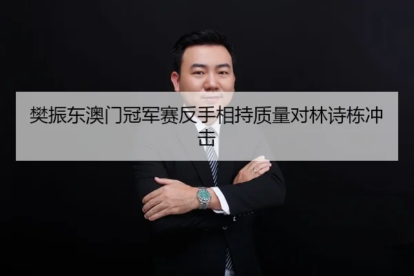 樊振东澳门冠军赛反手相持质量对林诗栋冲击