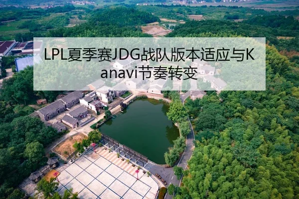 LPL夏季赛JDG战队版本适应与Kanavi节奏转变