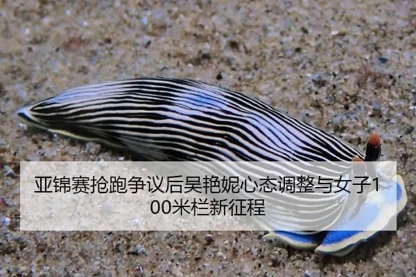 亚锦赛抢跑争议后吴艳妮心态调整与女子100米栏新征程